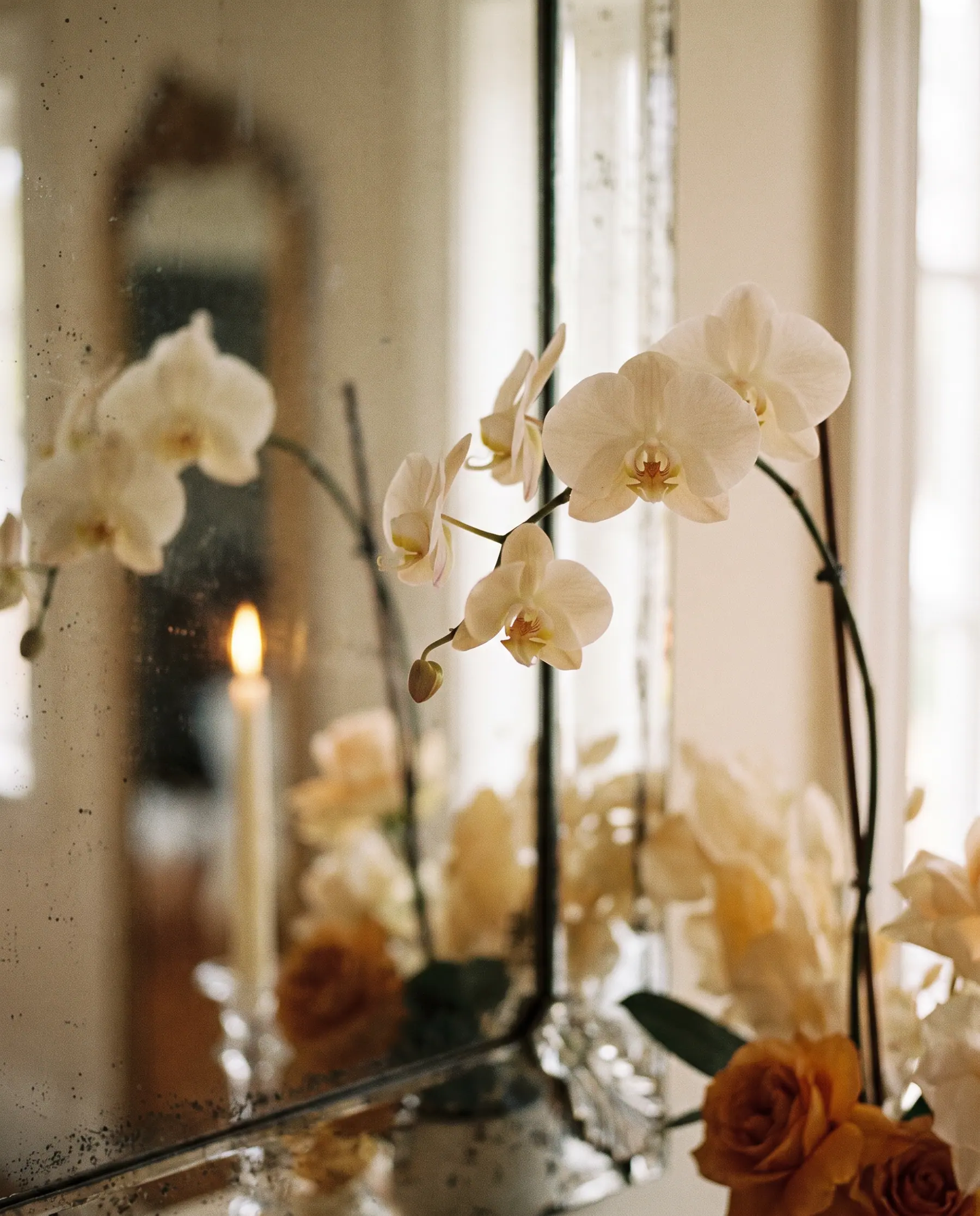 Ivory orchids and candle flame reflected in a mirrored surface.