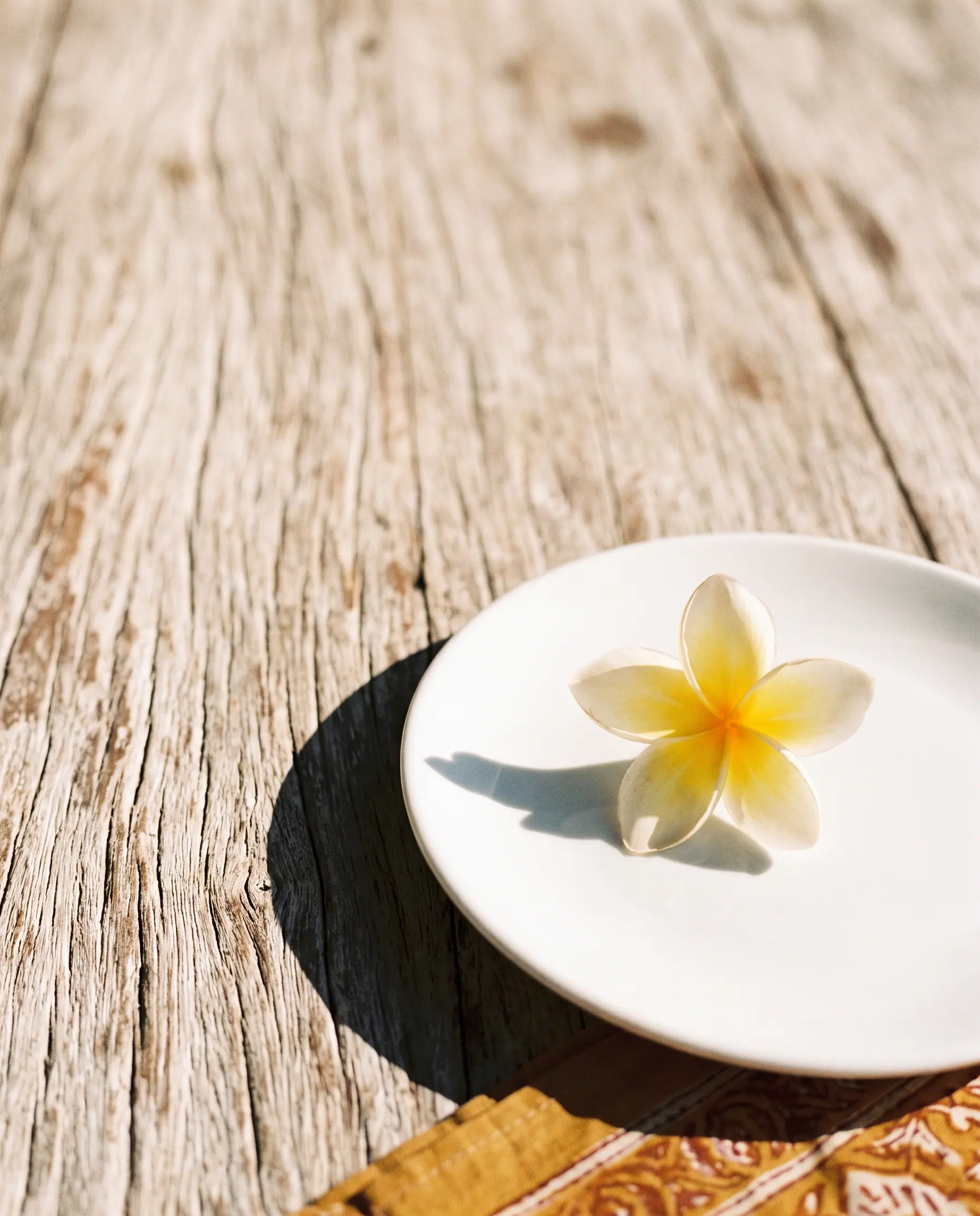 Salt-worn timber and a single frangipani on white ceramic.